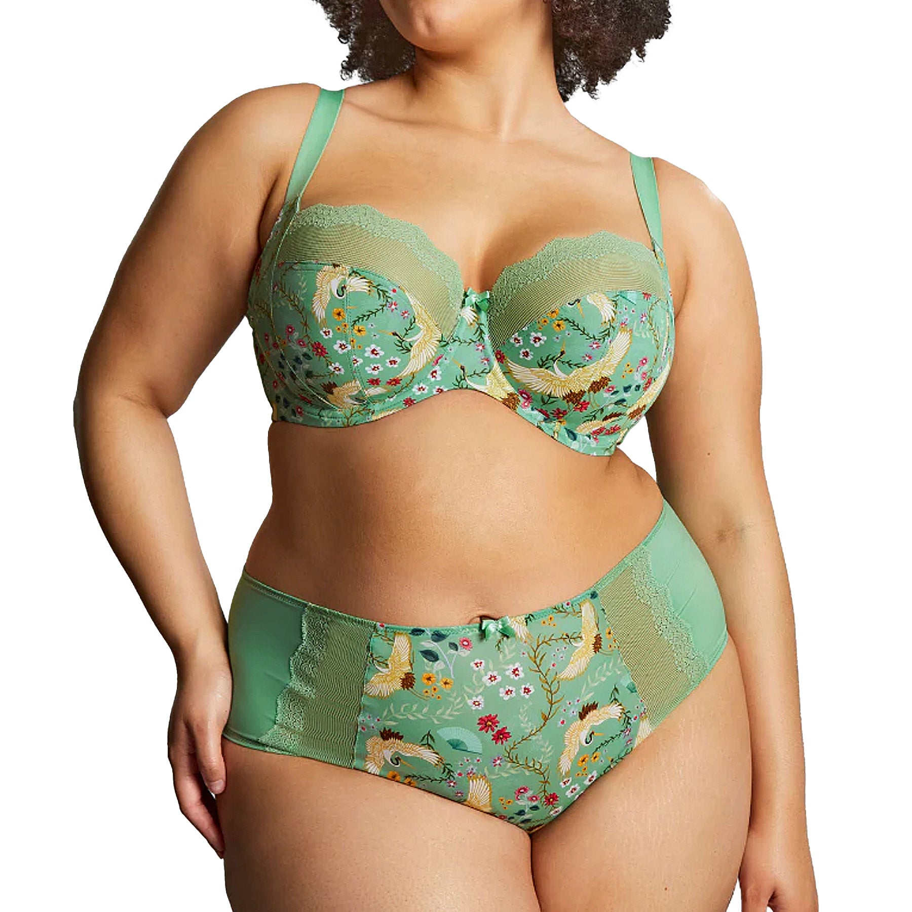 Panache Sculptresse Esme Deep Brief 10924 Wonderland Set