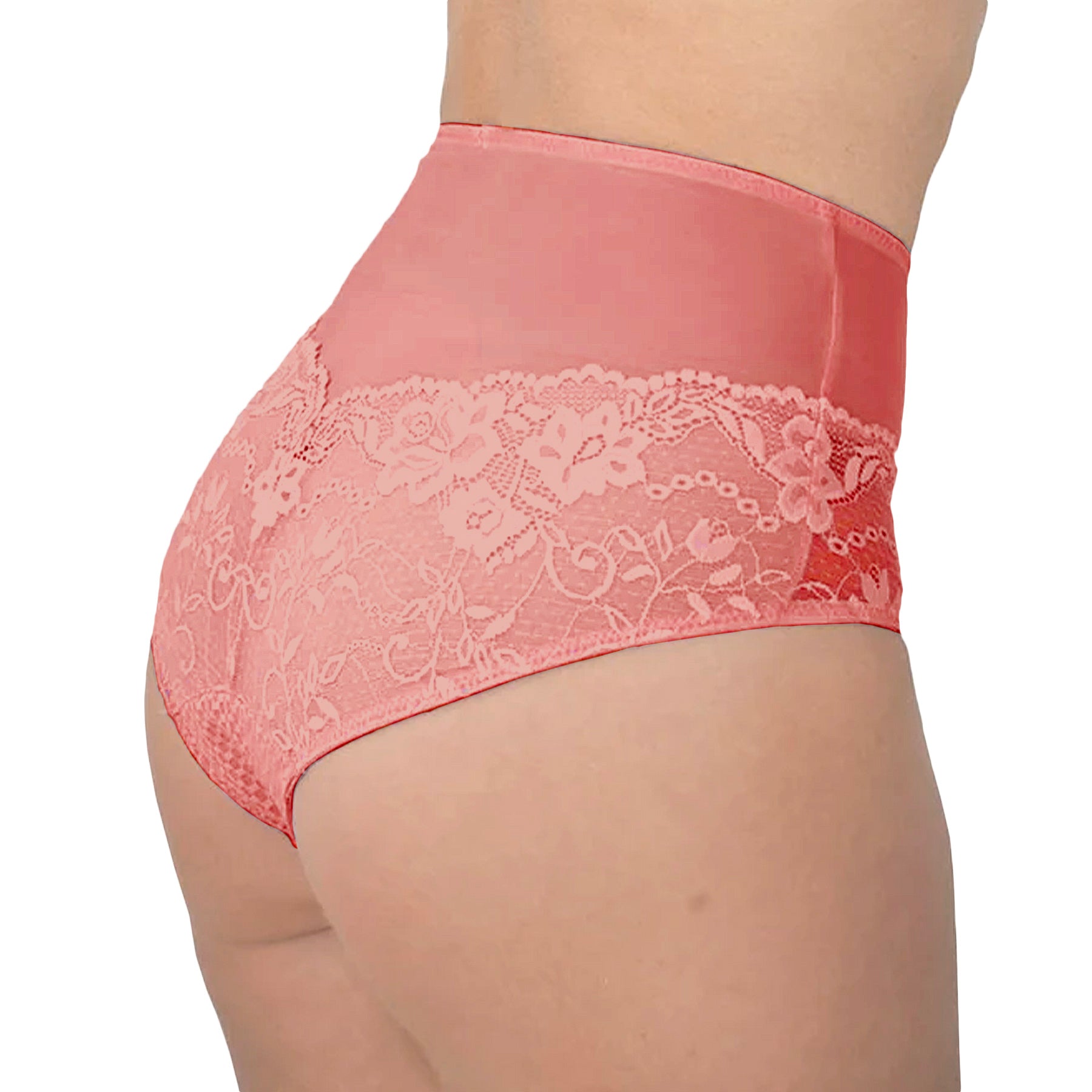 Fit Fully Yours Serena Lace Brief U2763 Canyon Rose Rear View