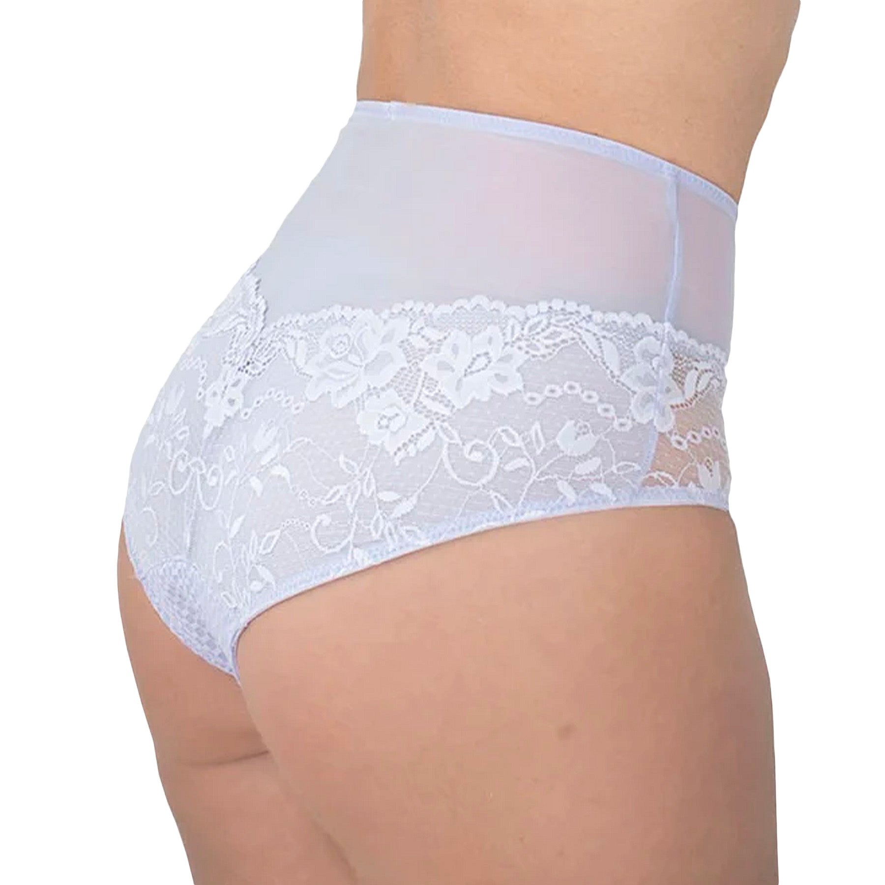 Fit Fully Yours Serena Lace Brief U2763 Steel Blue Rear View