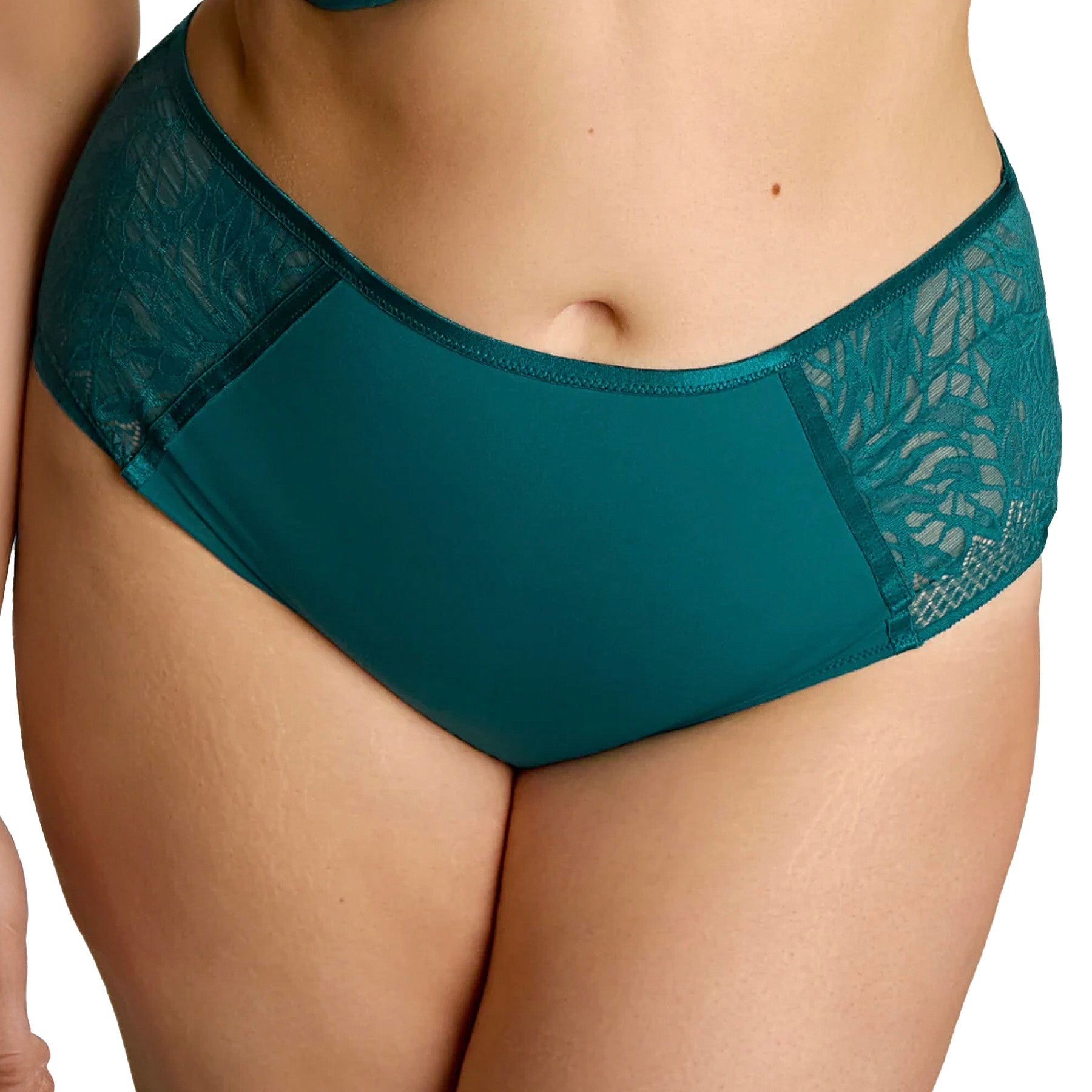 Panache Sculptresse Sophia Deep Brief 11192 Teal Blue Front