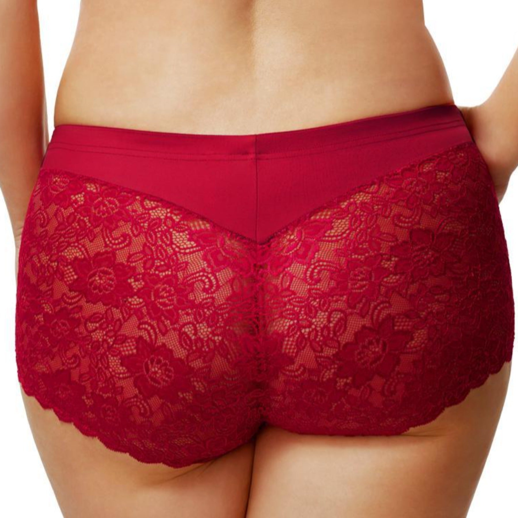 Cheeky Stretch Lace Panty 3311 - Red