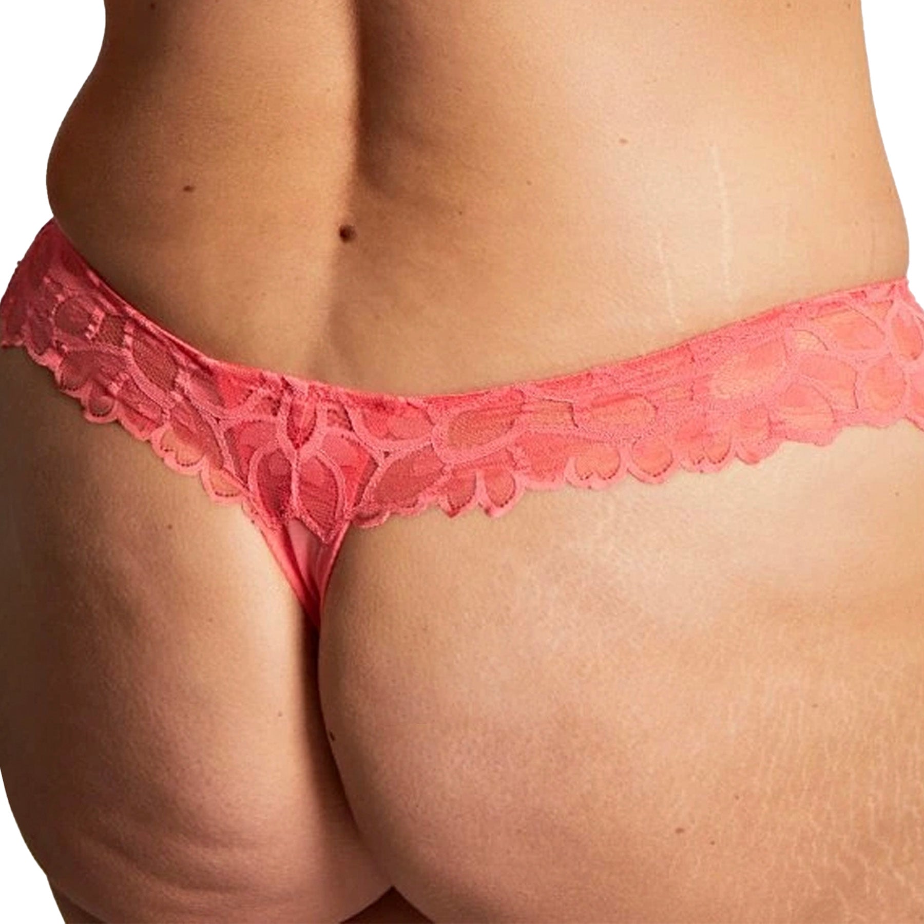 Panache Allure Thong 10769 Coral Back