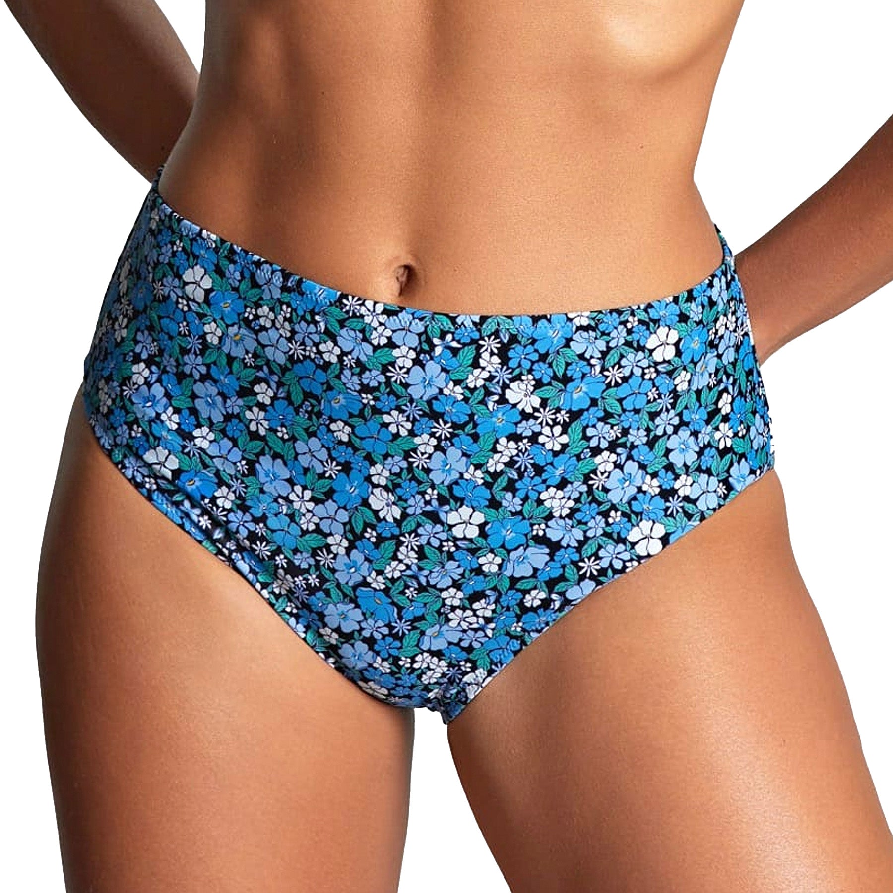 Panache Bette High Waist Brief SW1755B Posy Print Front