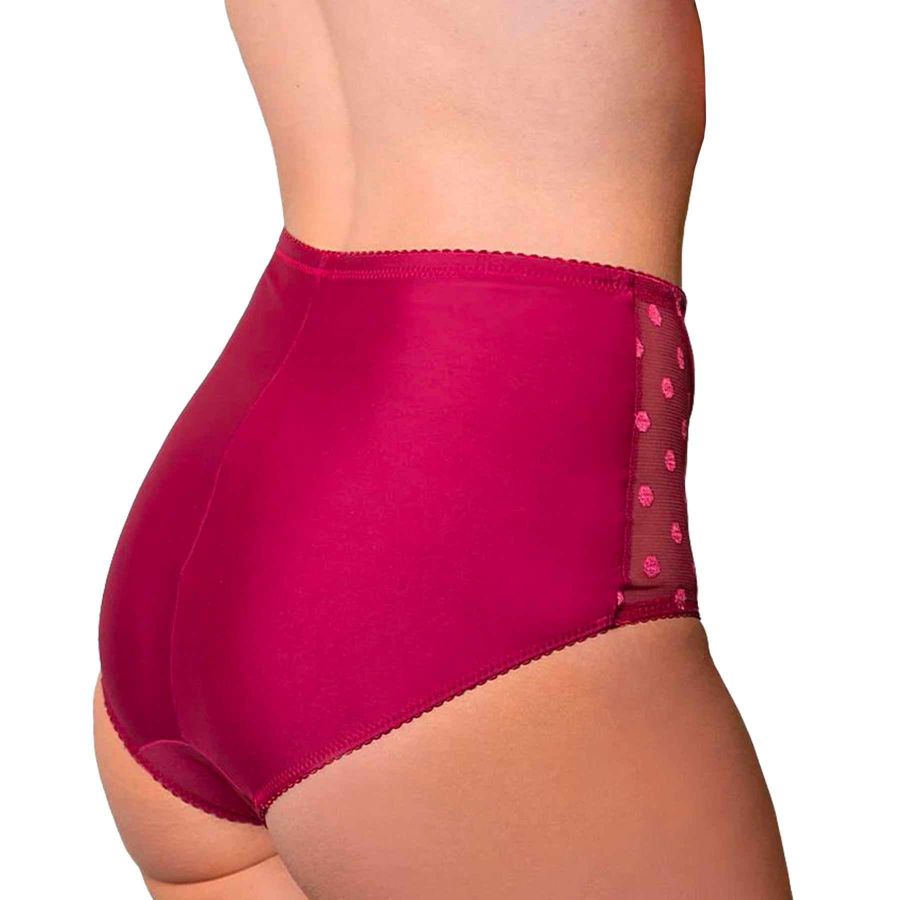 Fit Fully Yours Carmen Brief U2493 Deep Red Rear View