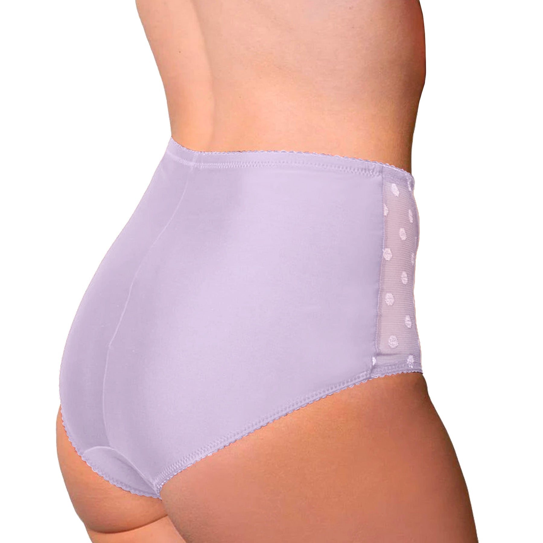 Fit Fully Yours Carmen Polka Dot Brief U2493 Lilac Rear View