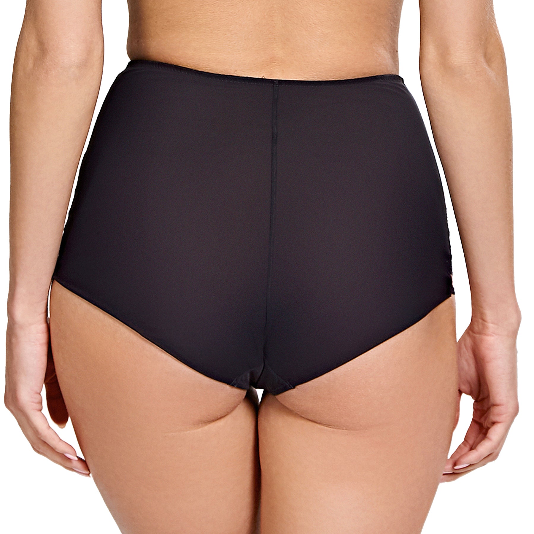 Panache Clara High Waist Brief 7254 Noir Ruby Back