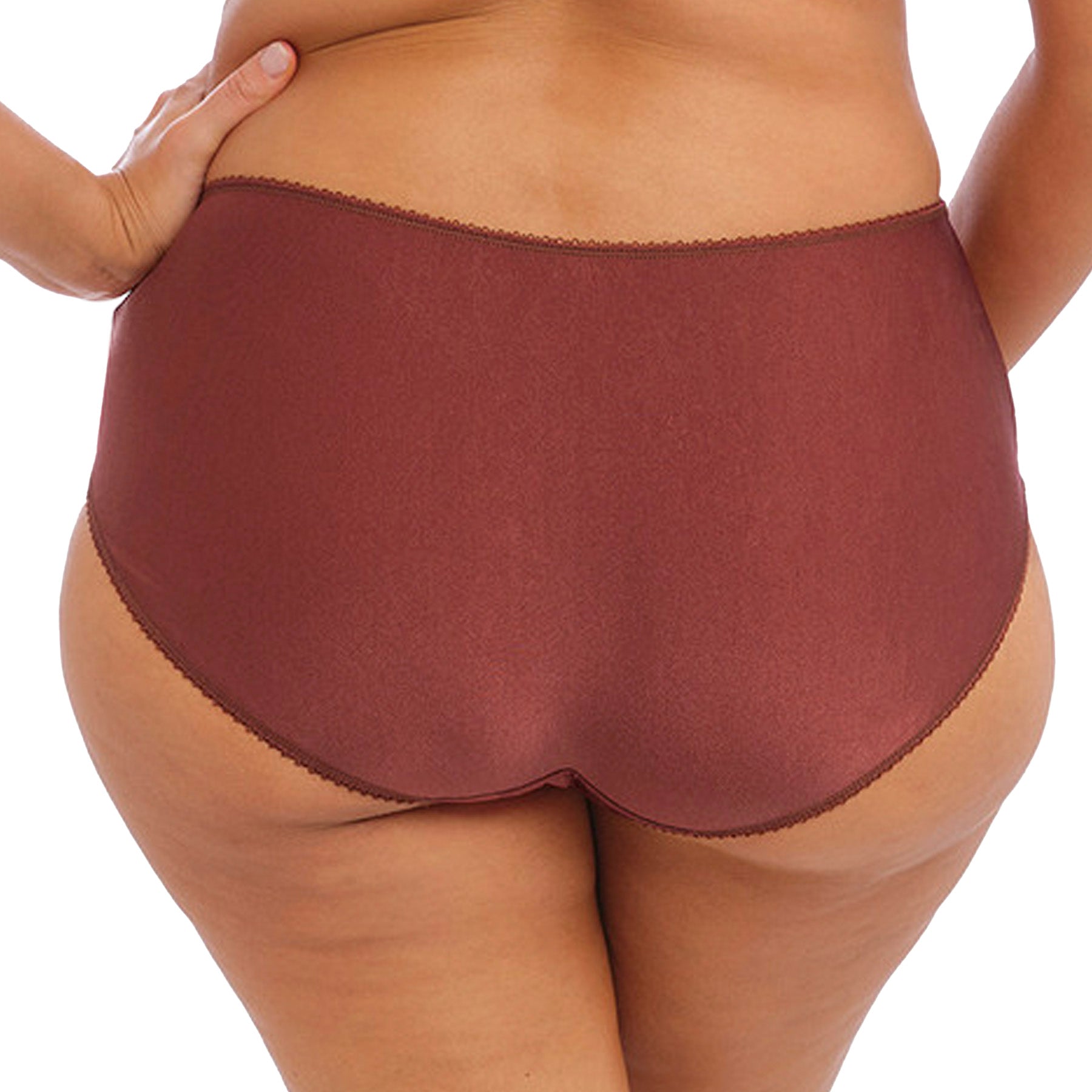 Elomi Cate Full Brief EL4036 Dark Copper Back