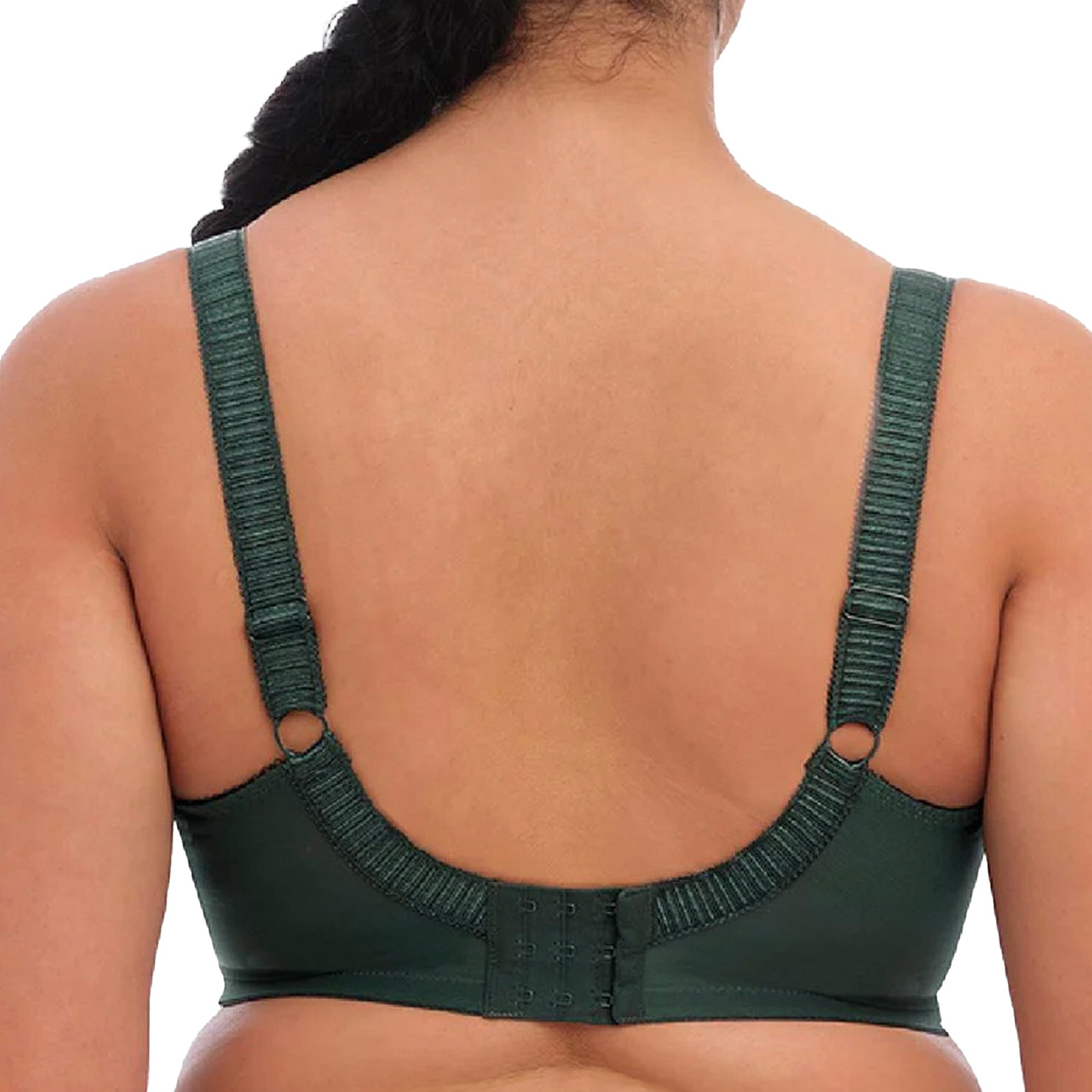 Elomi Cate Underwire Full Cup Banded Bra EL4030 Pine Grove Back