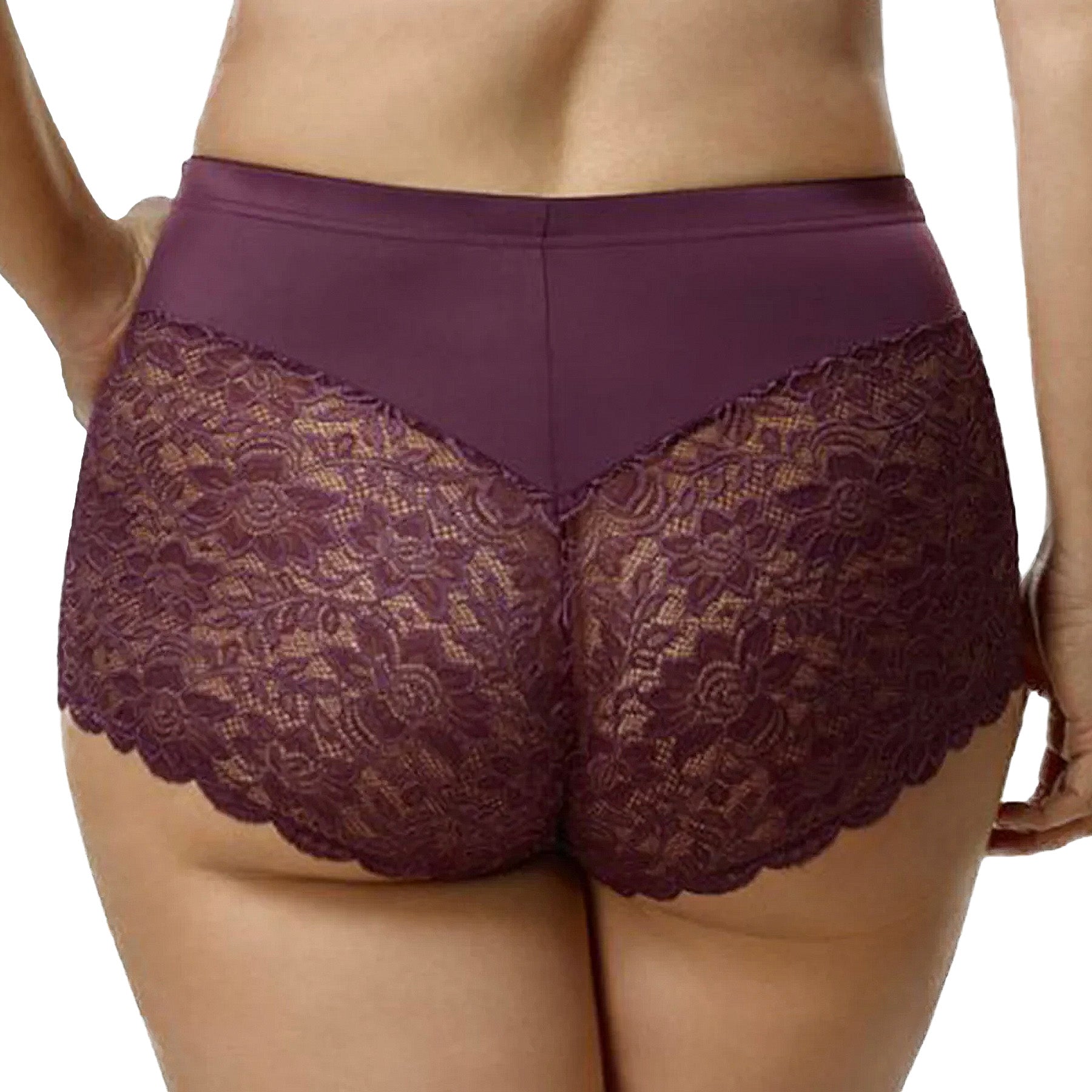 Elila Cheeky Stretch Lace Panty 3311 Plum Back