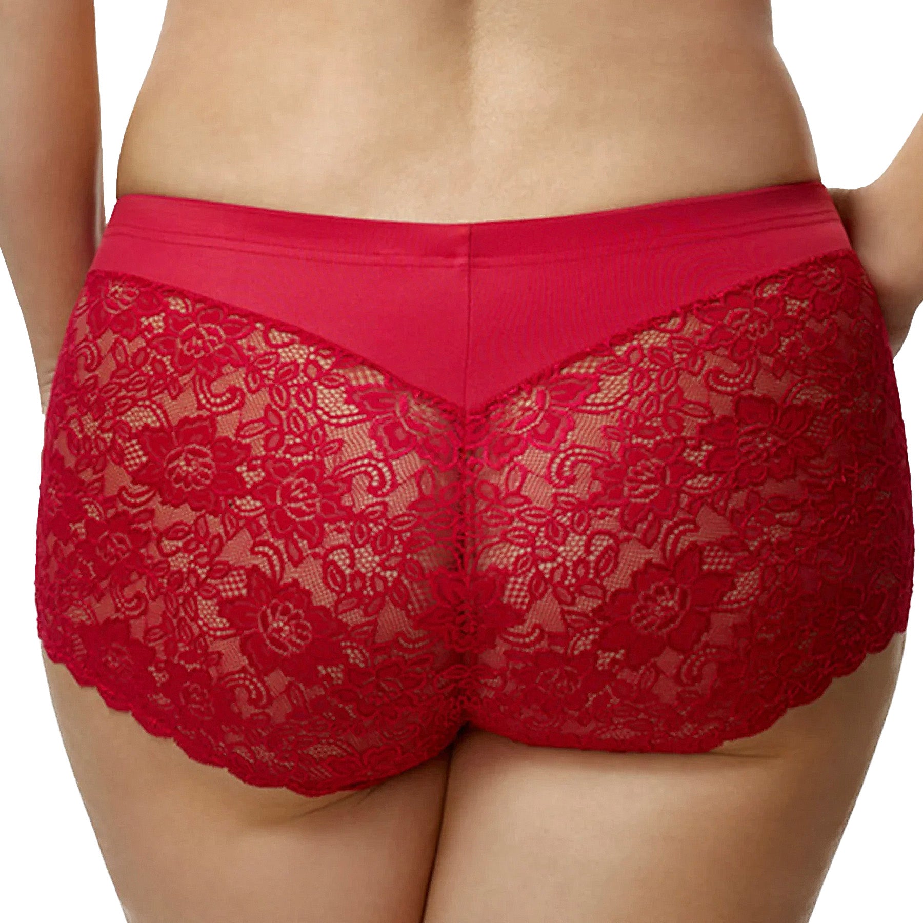 Elila Cheeky Stretch Lace Panty 3311 Red Back