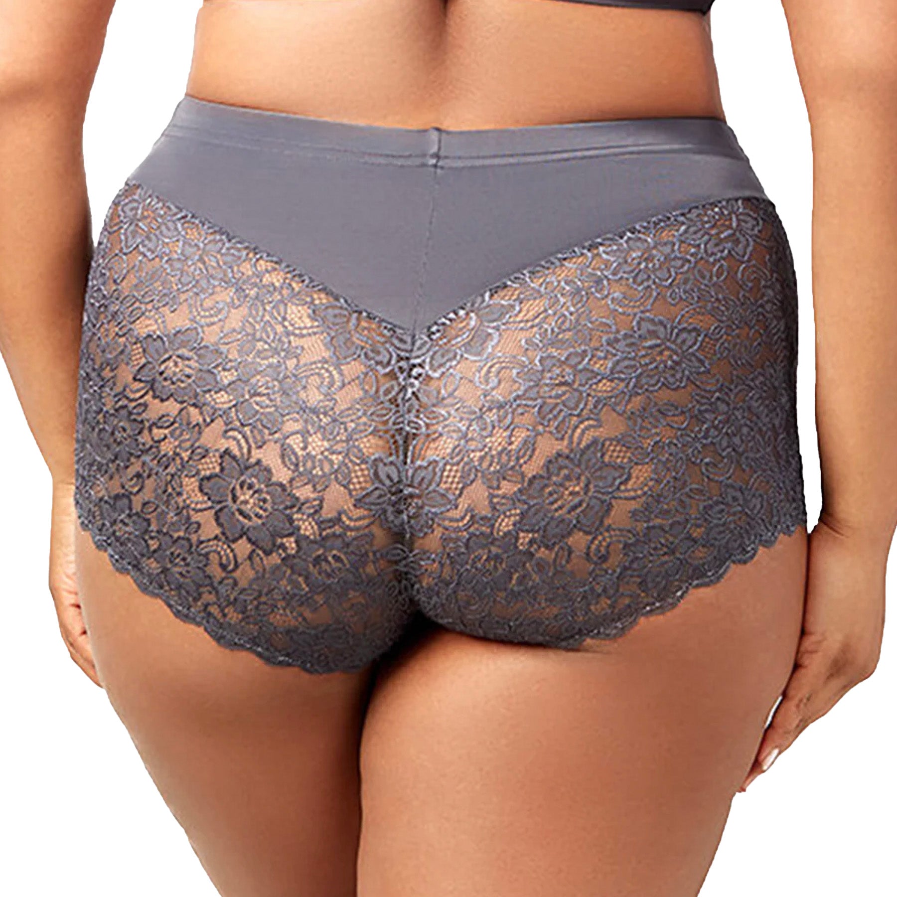 Elila Cheeky Stretch Lace Panty 3311 Steel Grey Back
