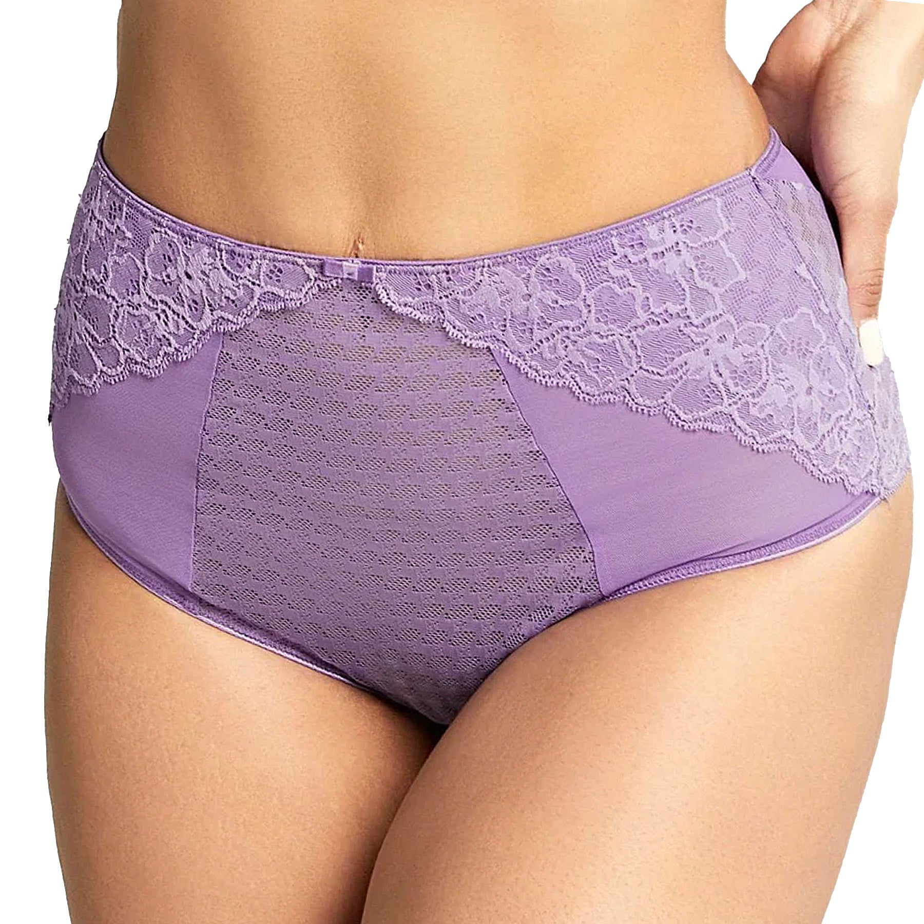Panache Envy Deep Brief 7283 Violet Front
