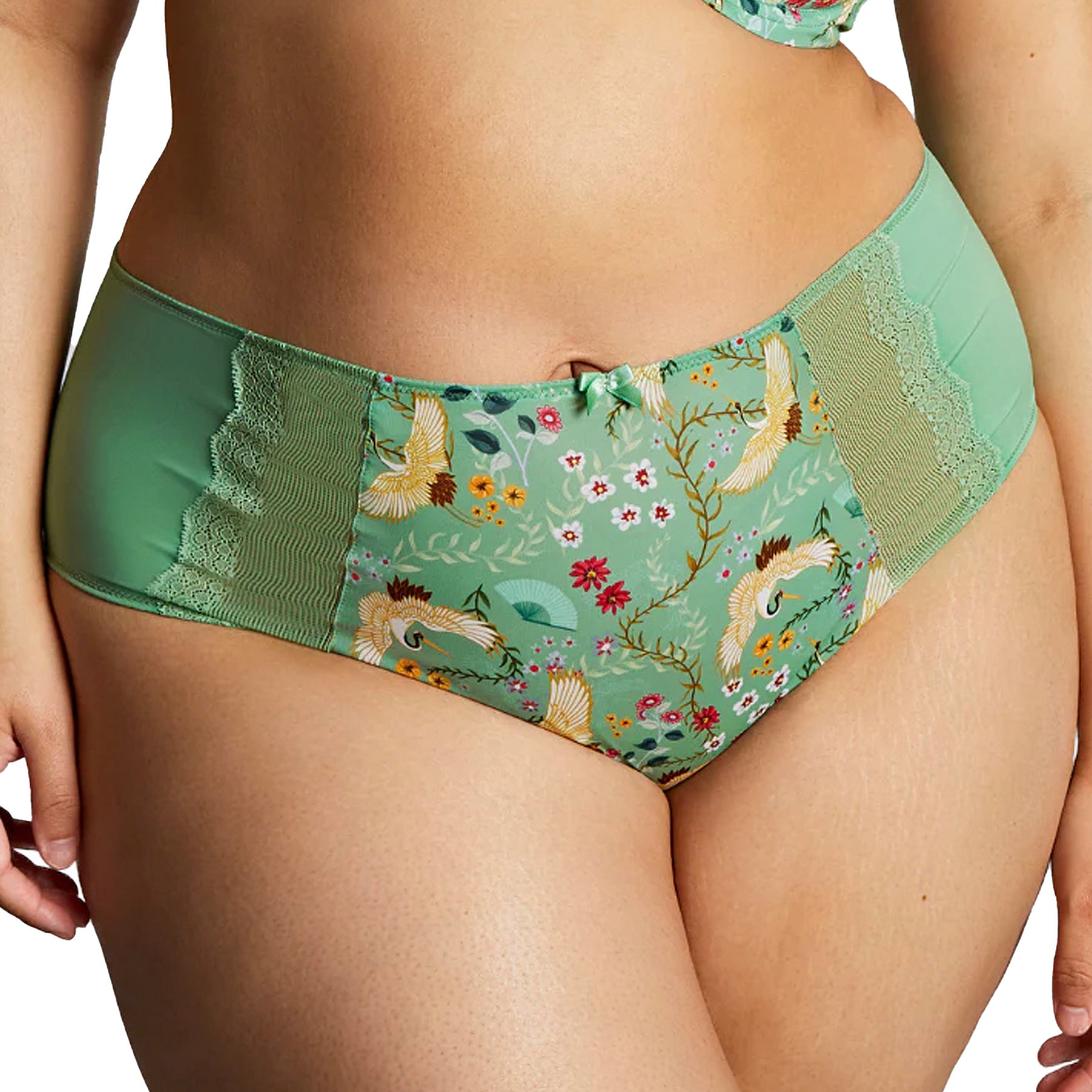 Panache Sculptresse Esme Deep Brief 10924 Wonderland Front