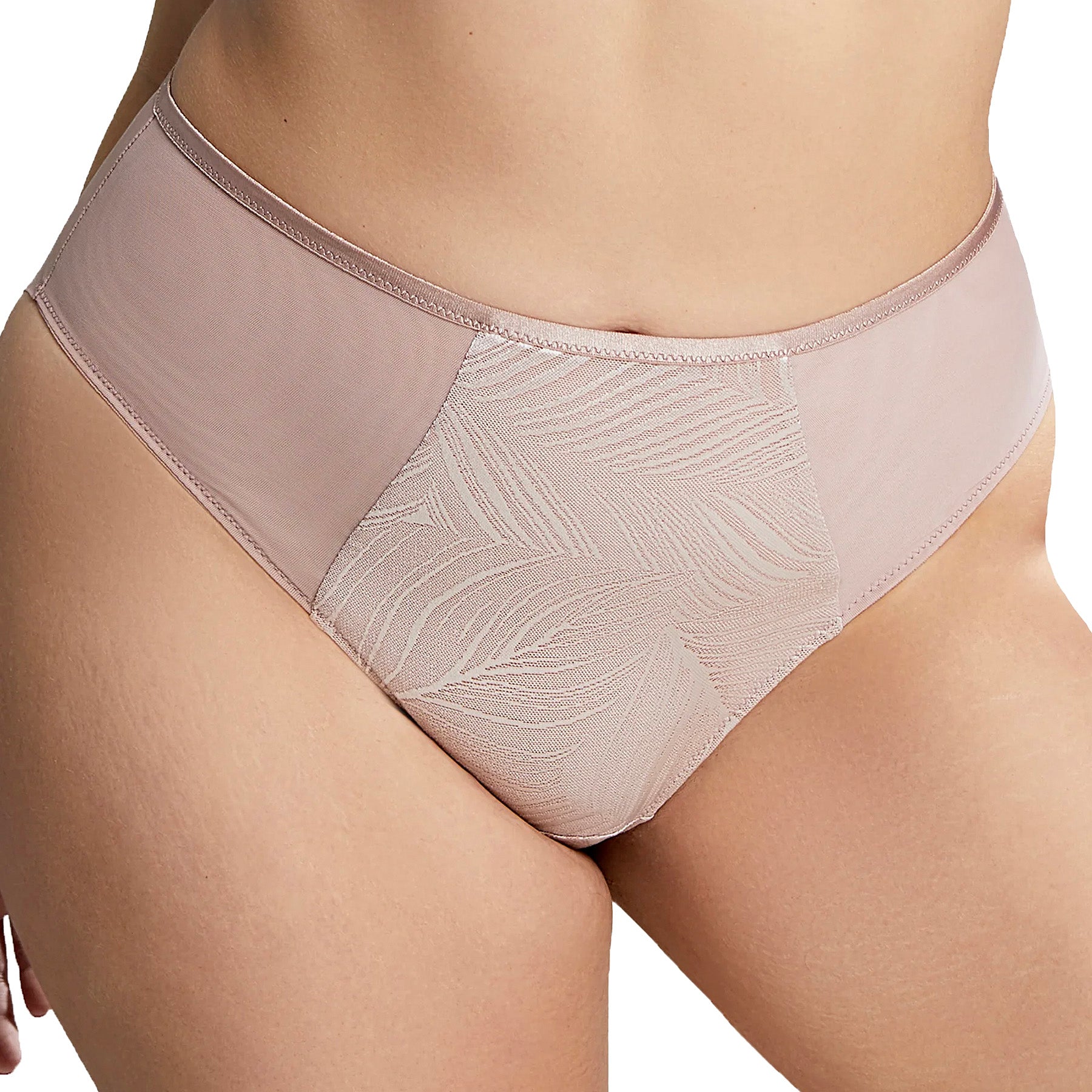 Panache Sculptress Illuminate Deep Brief 10704 Vintage Front
