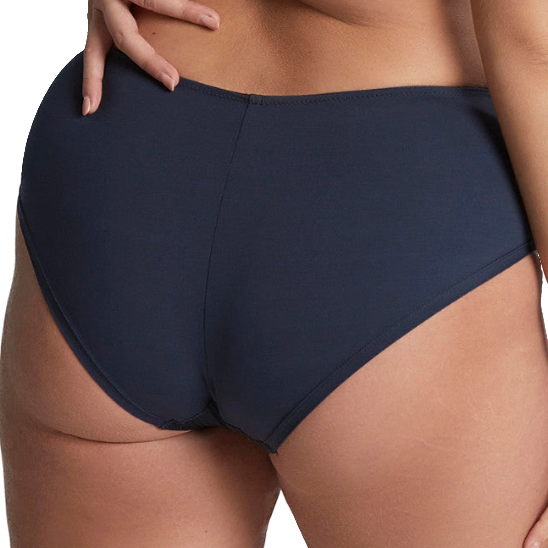 Panache Sculptresse Karis Deep Brief 10544 Midnight Back