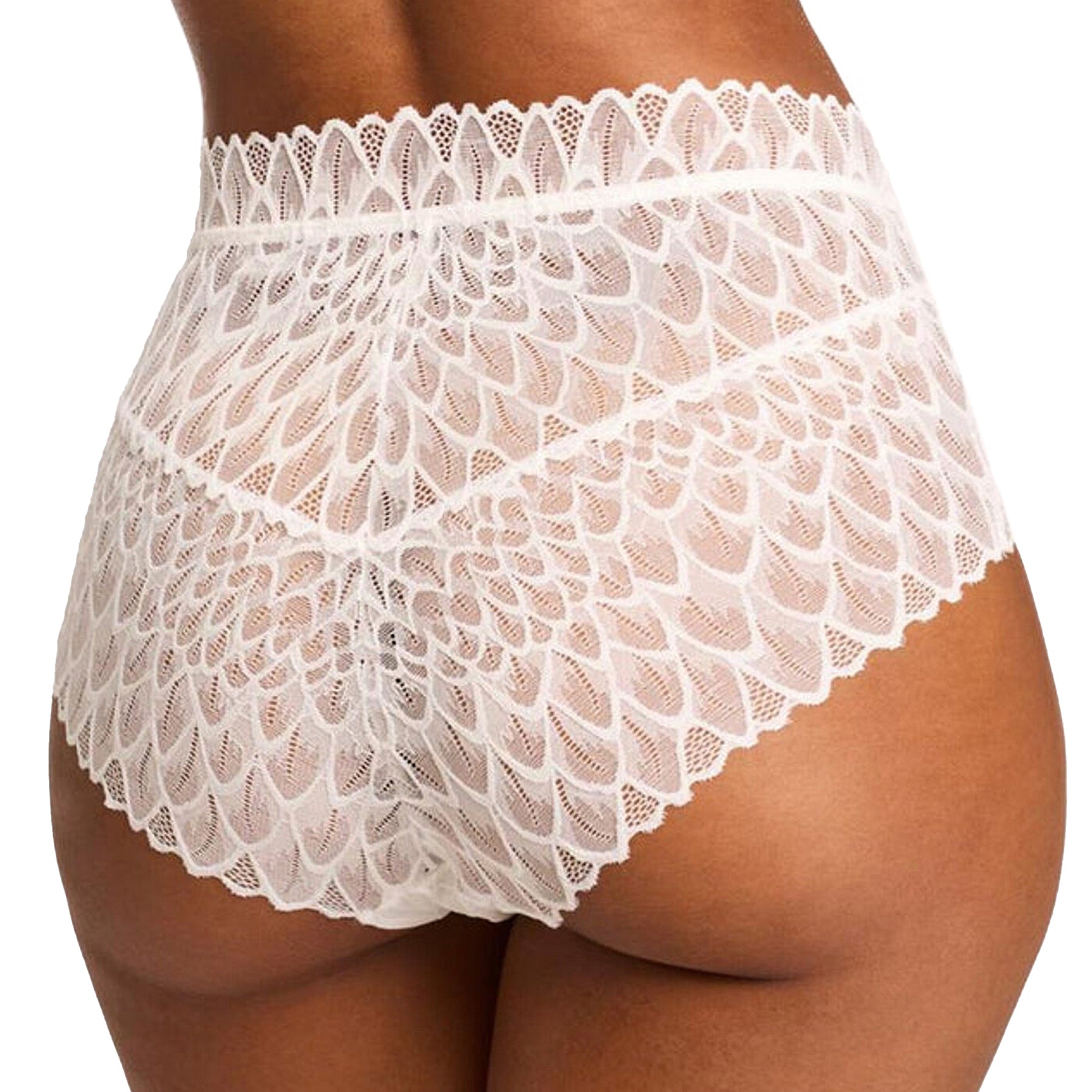 Montelle Lacy High Waist Brief 9309 Chantilly Back