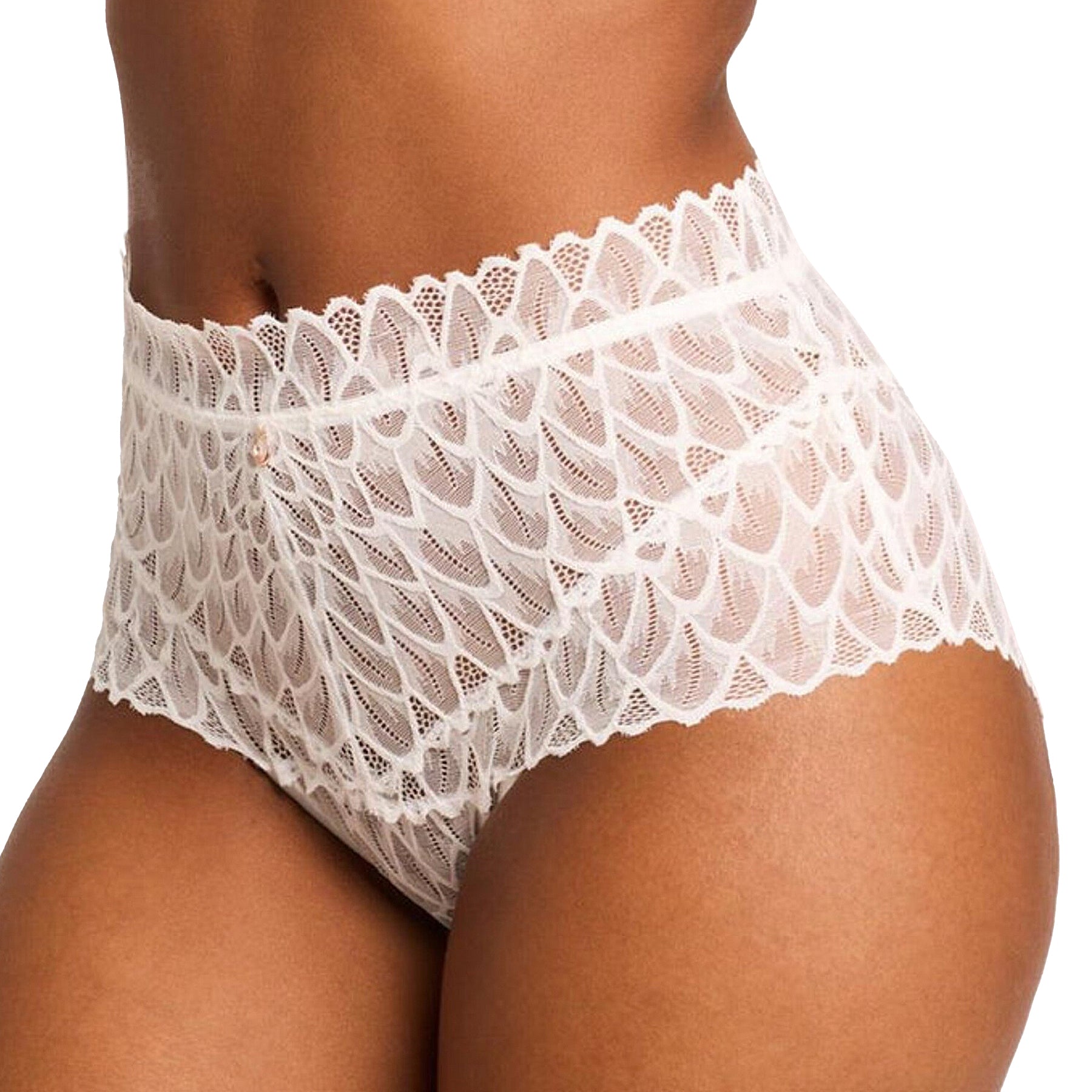Montelle Lacy High Waist Brief 9309 Chantilly Front