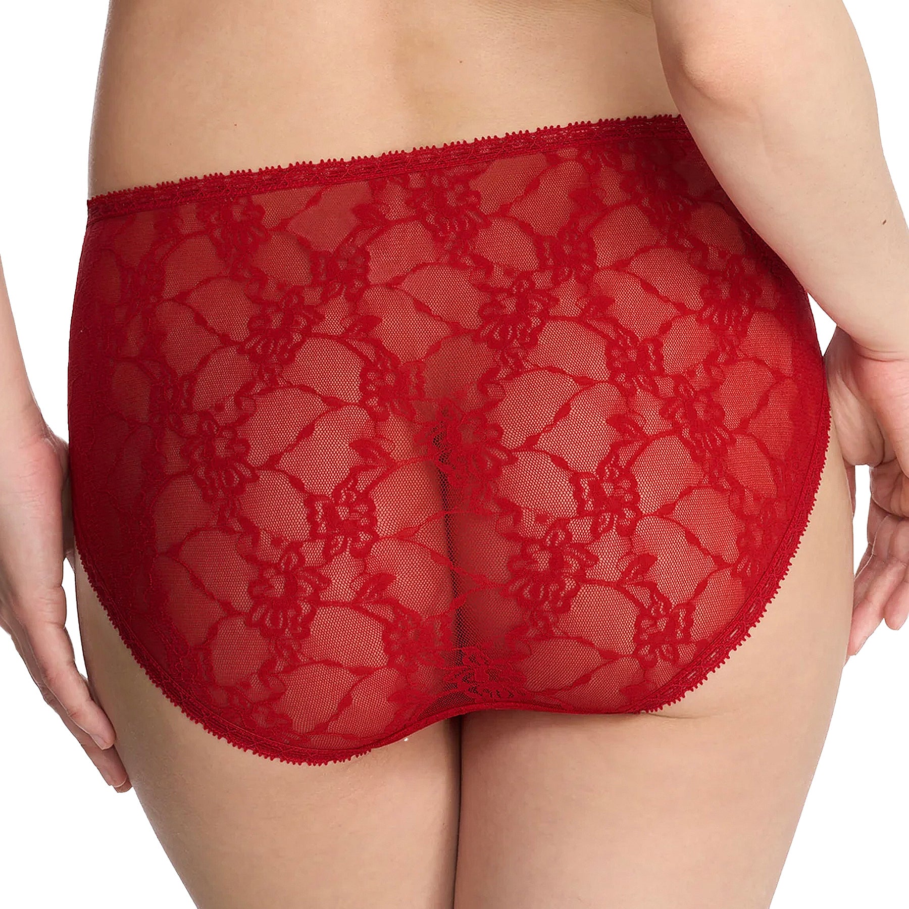 Natori Bliss Allure One Size Lace French Cut Brief 772303 Samba Back
