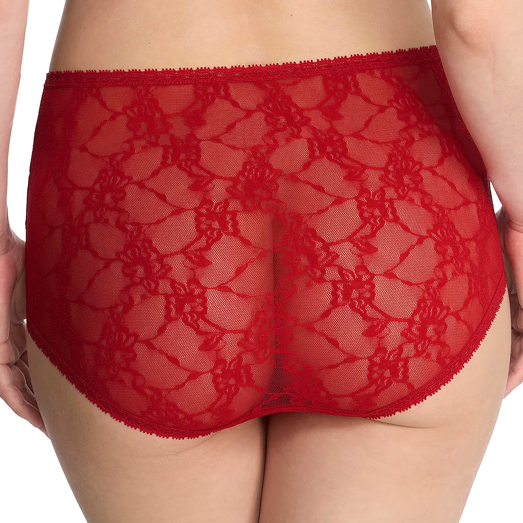 Natori Bliss Allure One Size Lace Full Brief 778303 Samba Back
