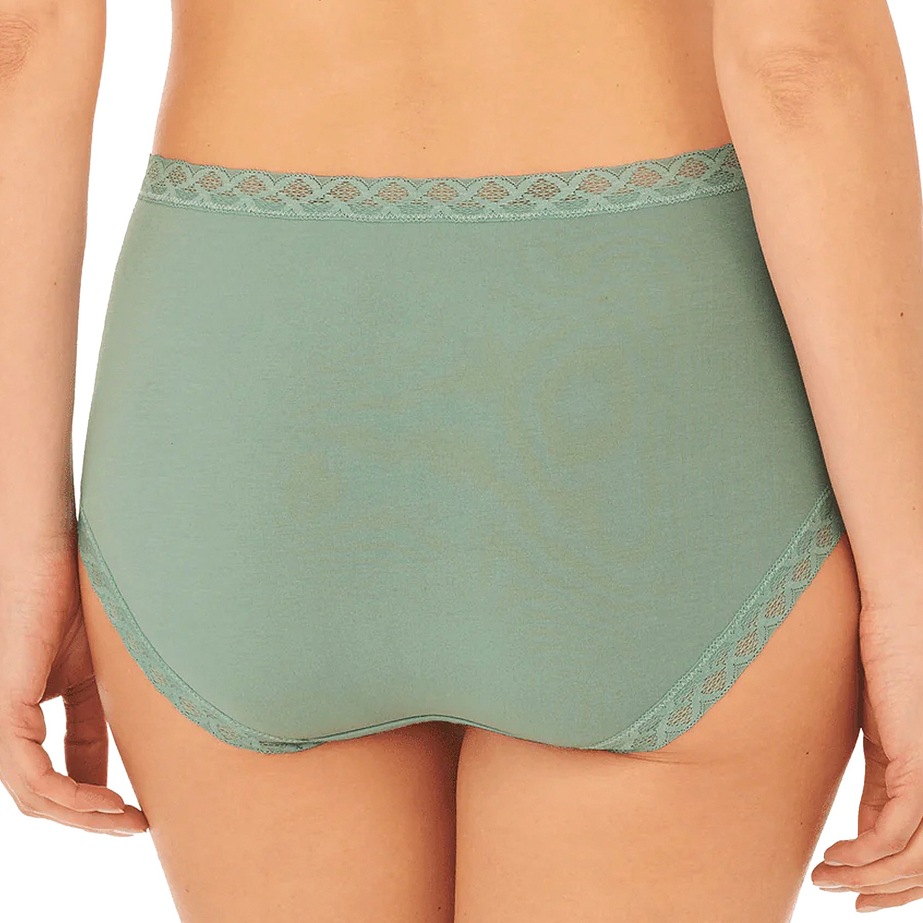 Natori Bliss Cotton Full Brief Panty 755058 Succulent Back