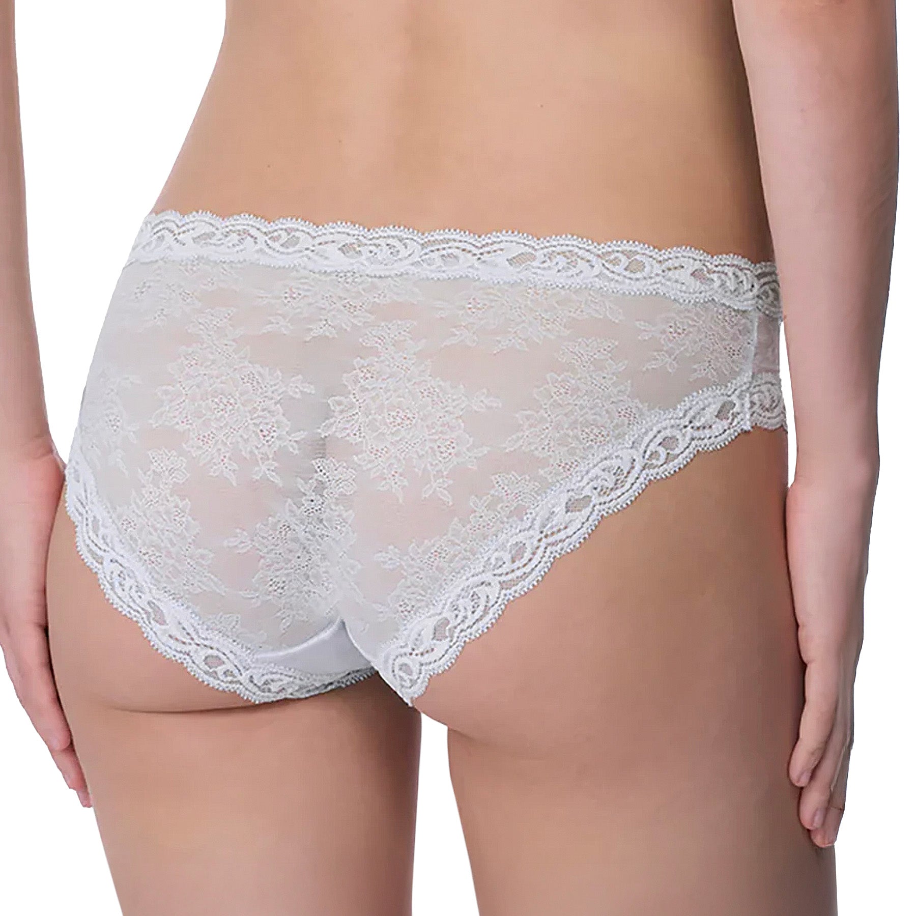 Natori Feathers Hipster Panty 753023 Frosted Sky Back