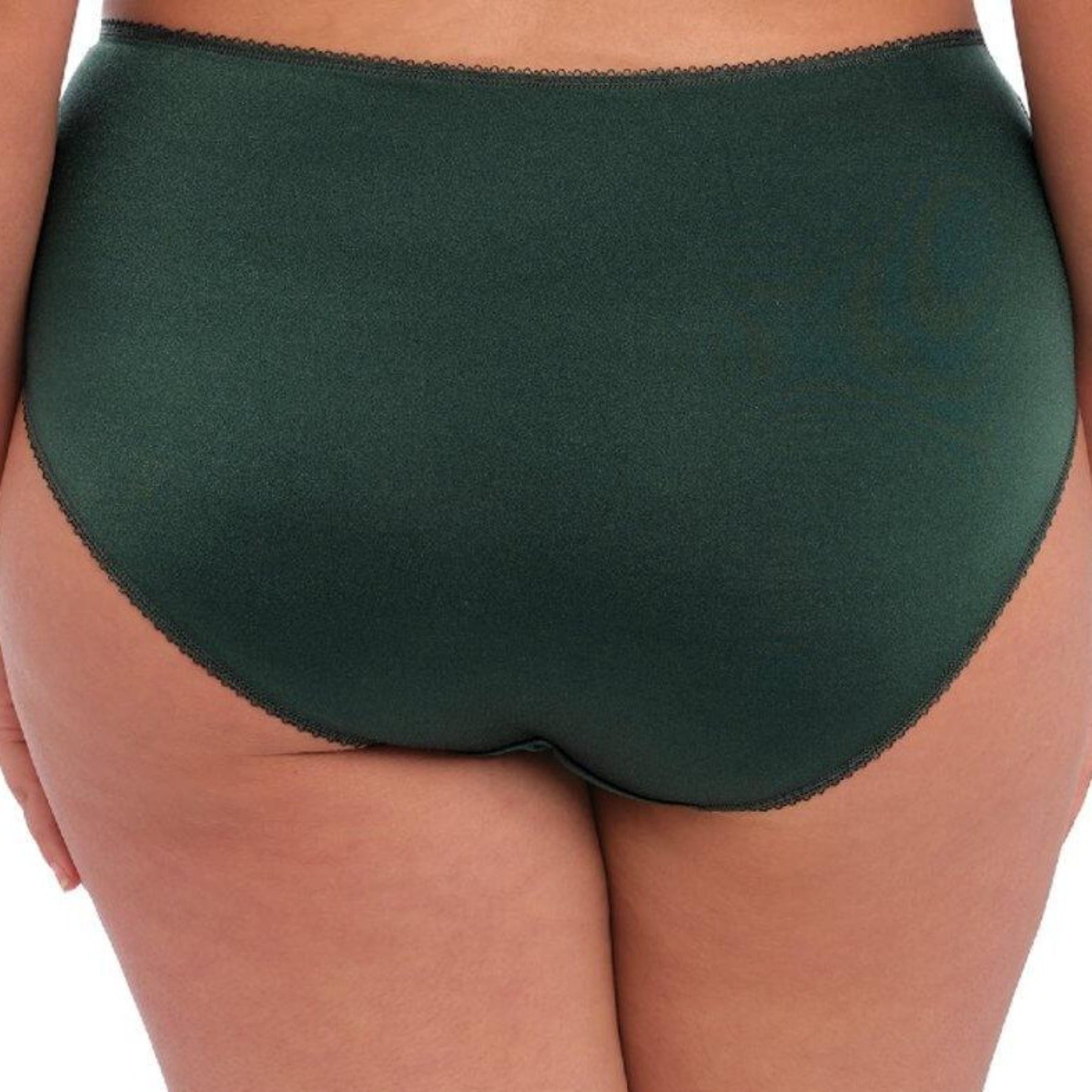 Cate Full Brief EL4036 - Pinegrove