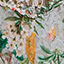 floriculture-green