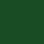forest-night