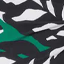 palma-verde