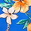 paradiso-print