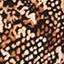 sand-boa