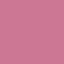 tulip-pink